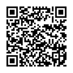 qr_smartphonecentrismo